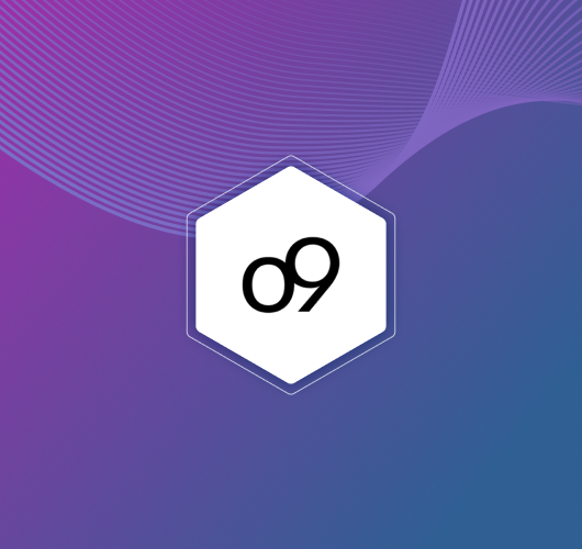 09 09 solutions logo
